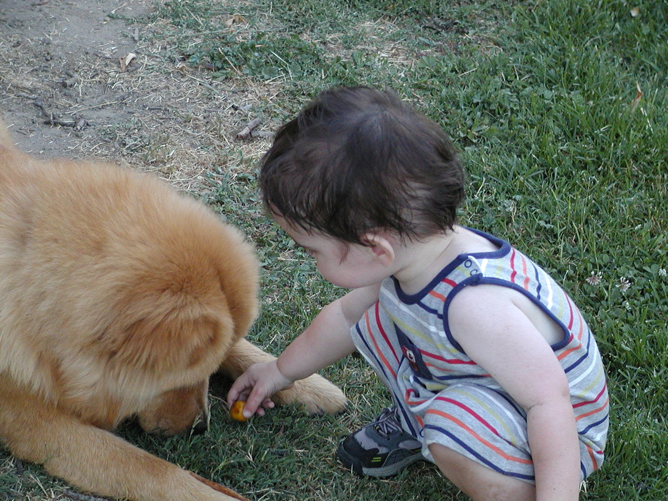 Visit with PopPop - Saturday
