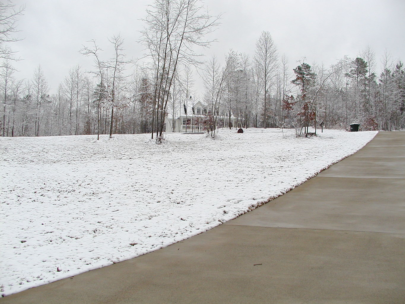 Snow - February 2004
