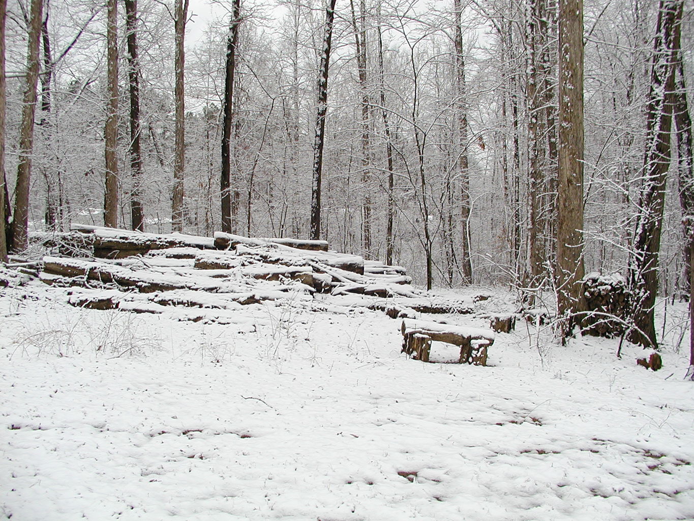 Snow - February 2004
