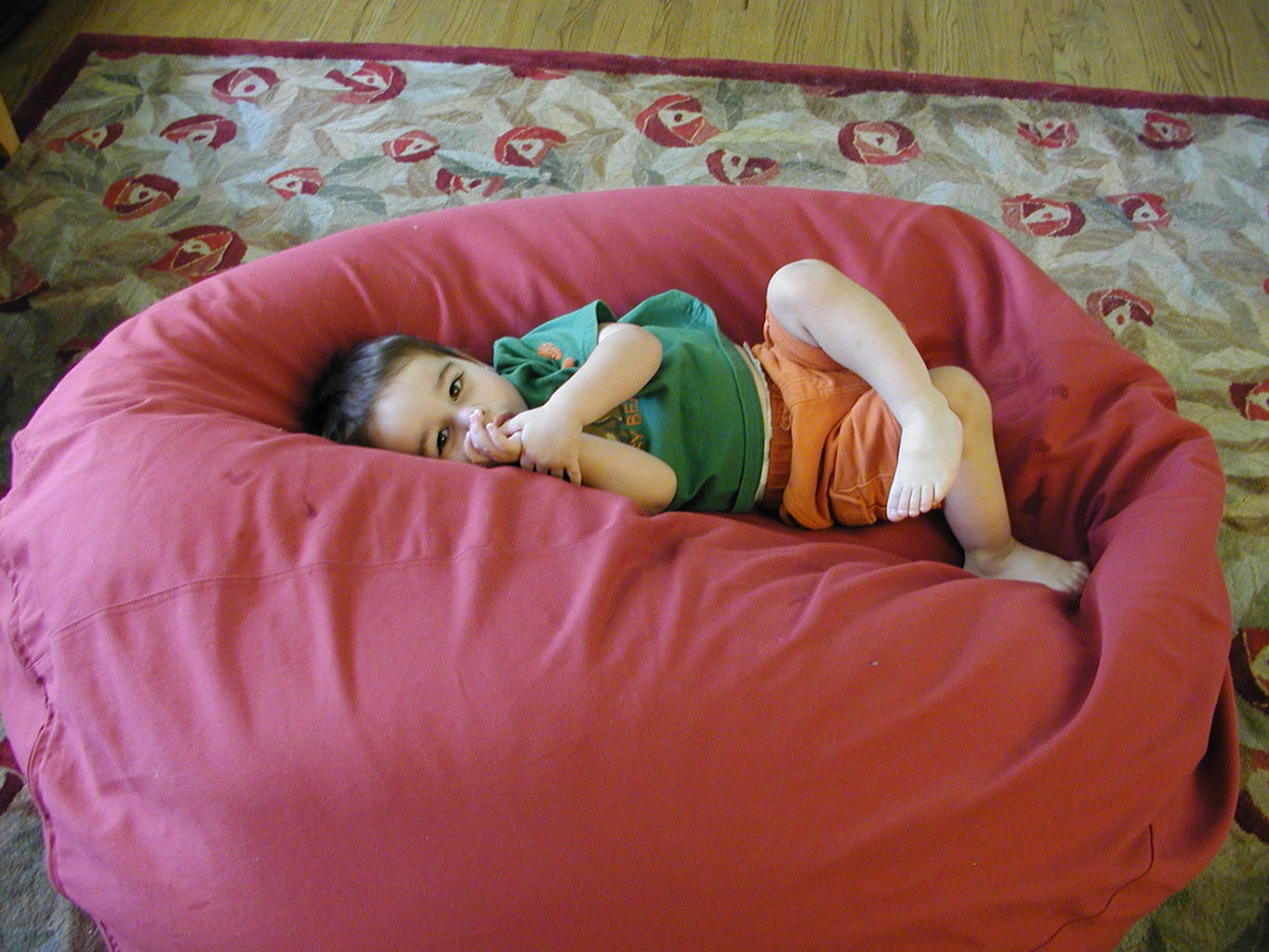 New Ticky Pillow
