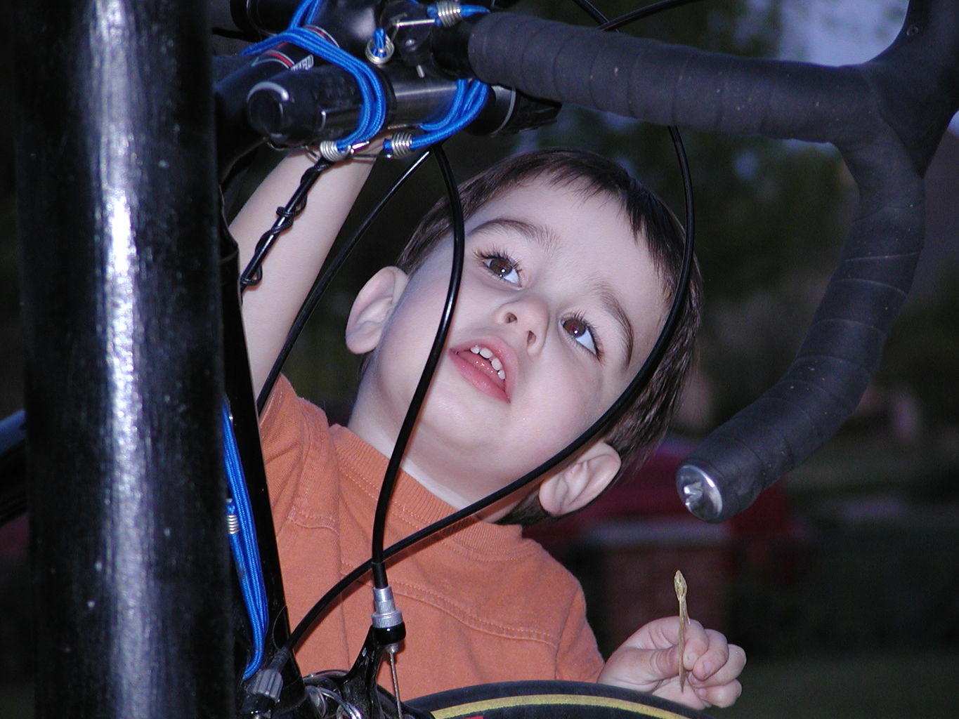 James Playing in the Front Yard
