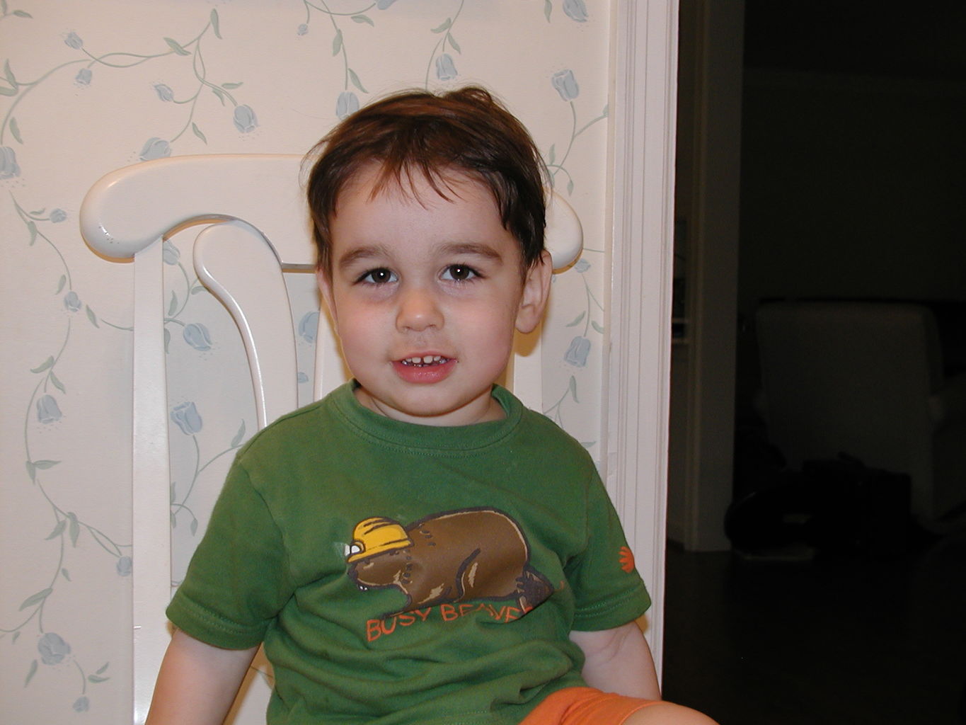 Pictures
