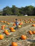 The Punkin' Patch
