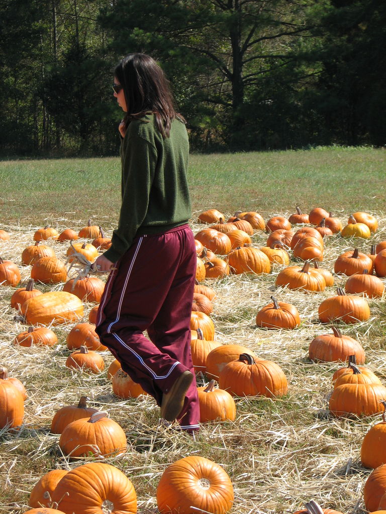 The Punkin' Patch
