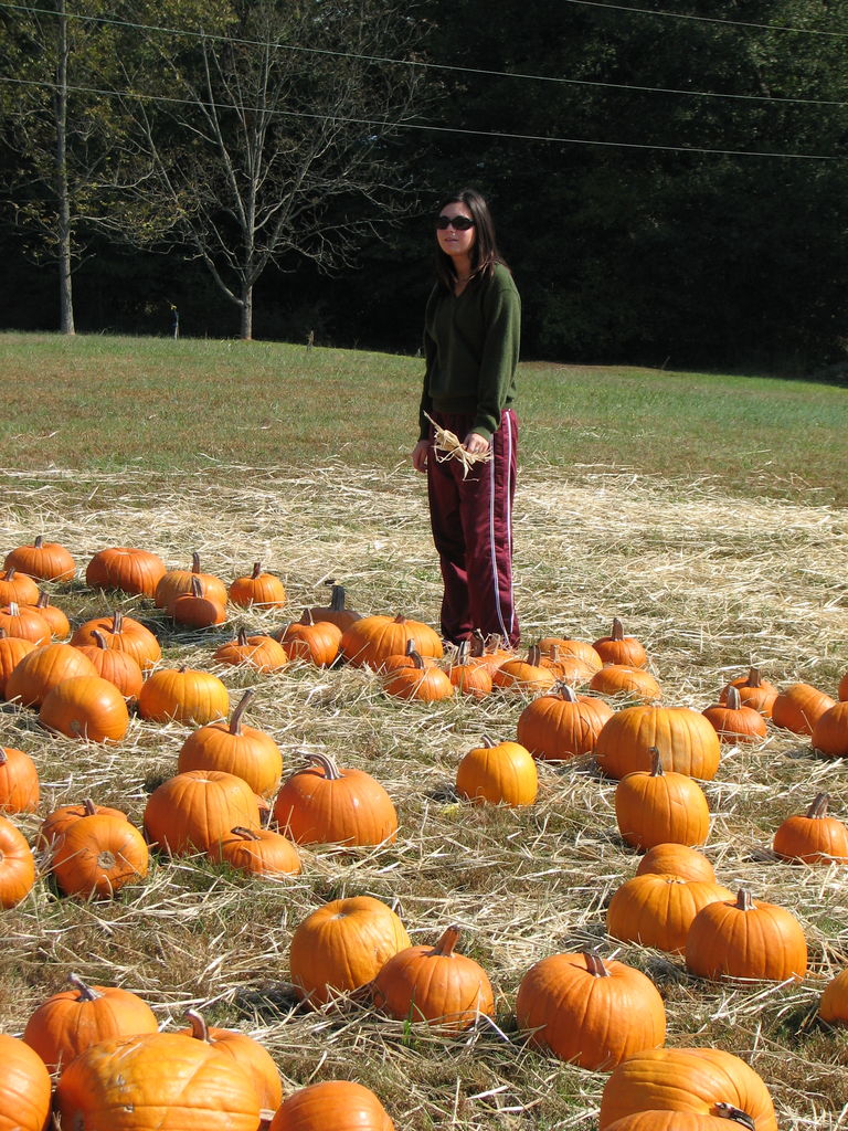 The Punkin' Patch
