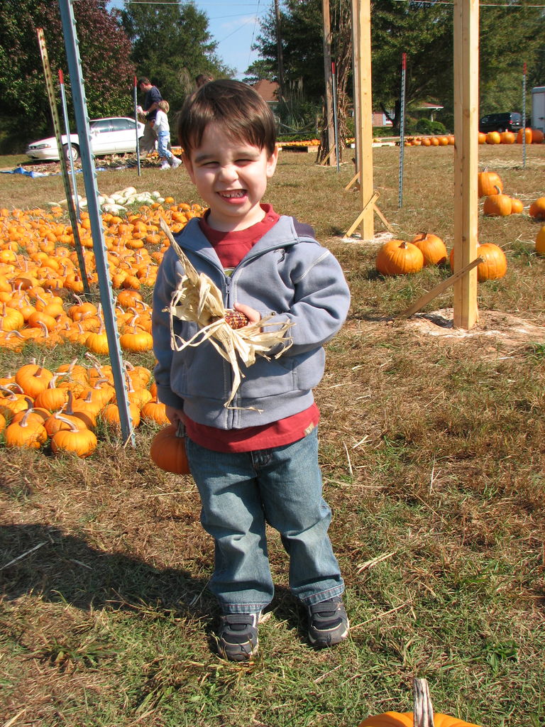 The Punkin' Patch
