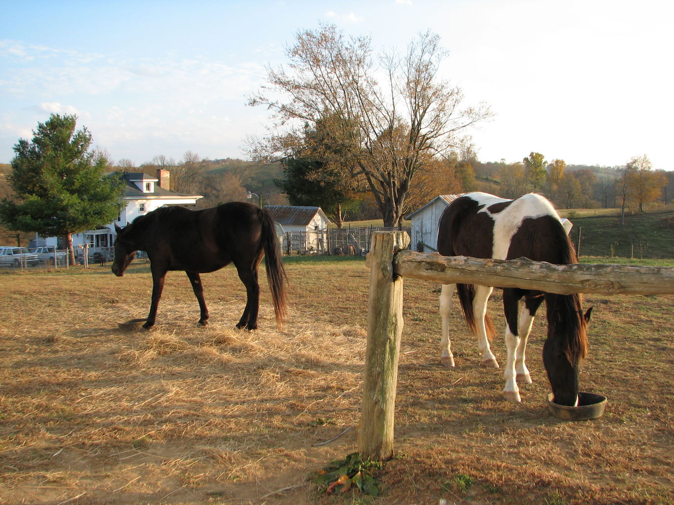 Trip to the Browns - Day 2
