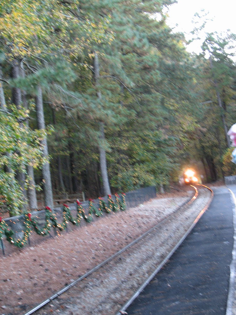 Stone Mountain with the Peters
