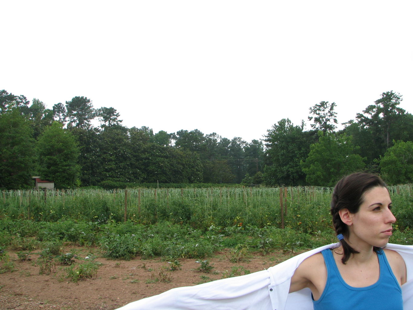 Callaway Gardens
