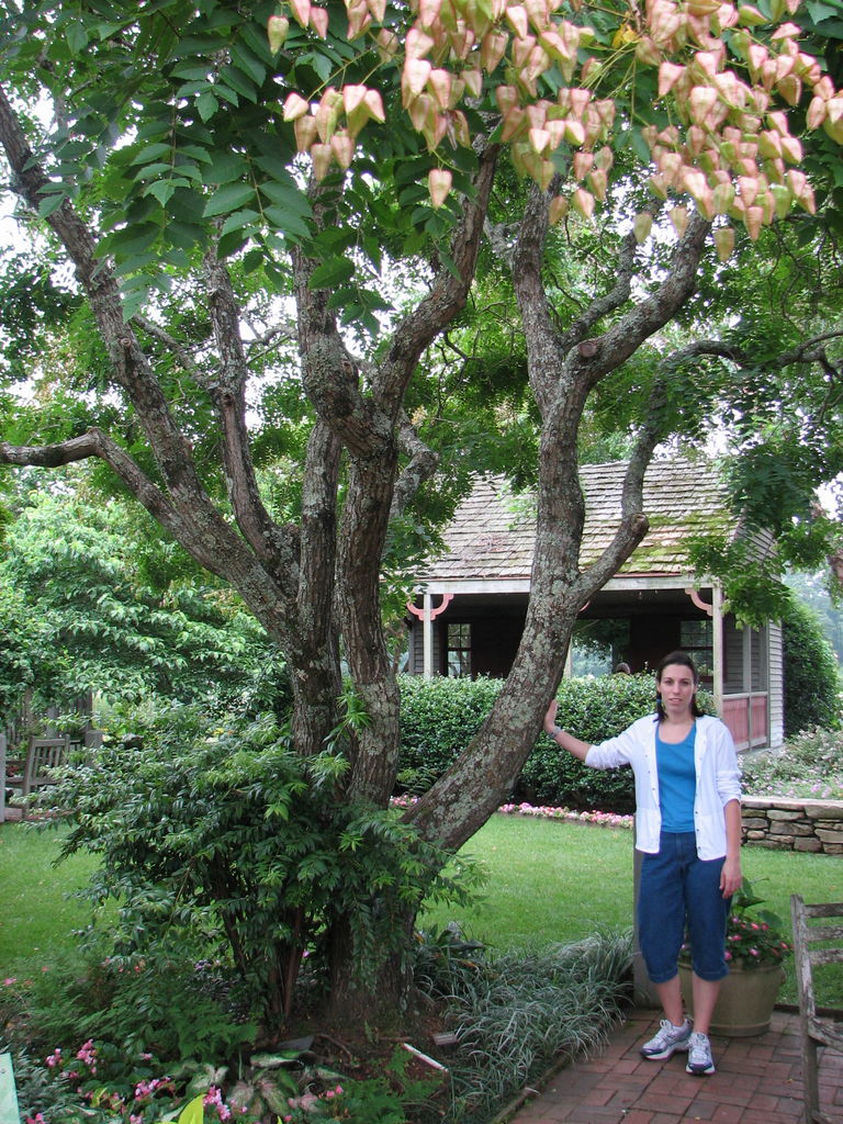 Callaway Gardens
