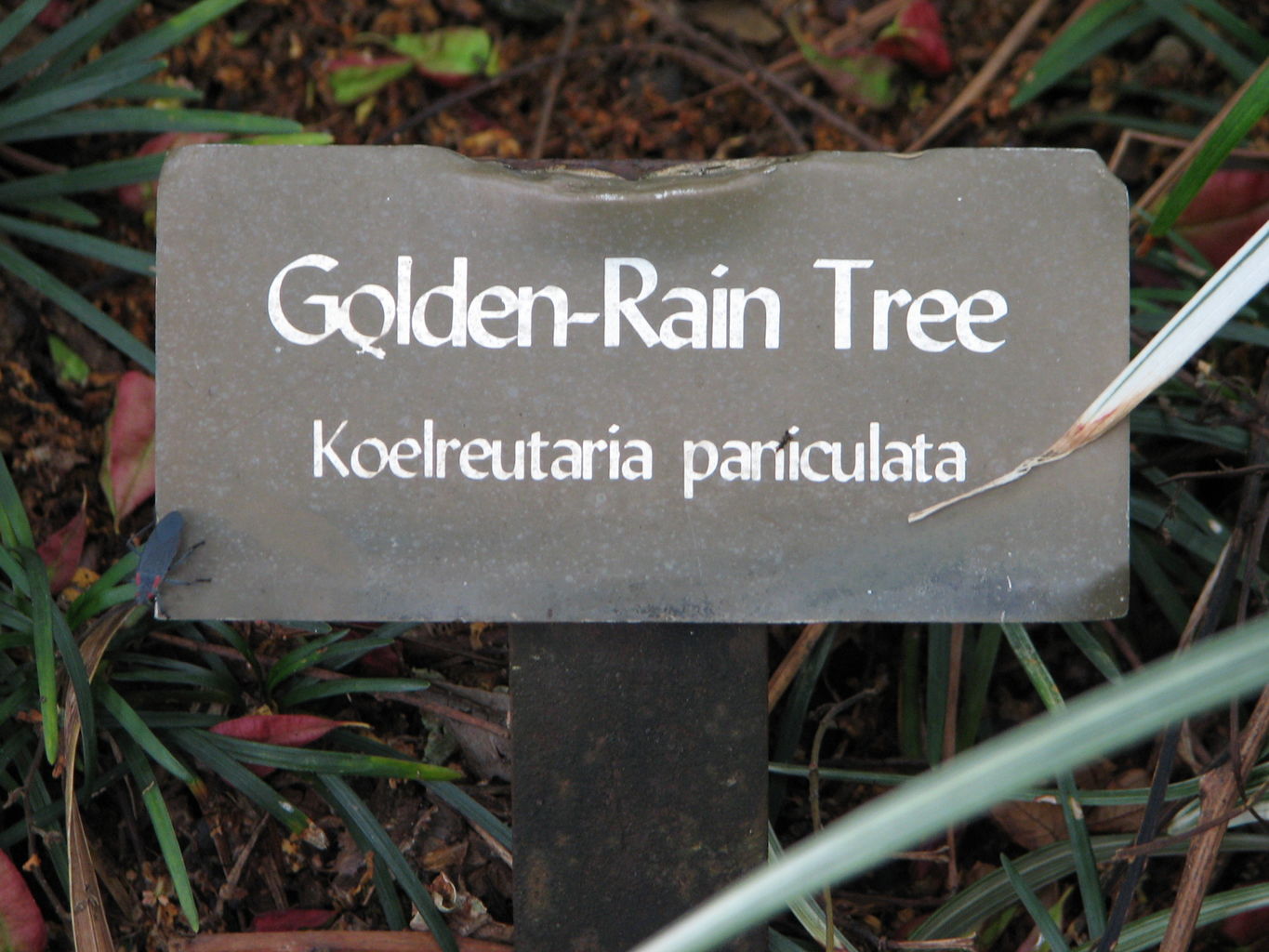 Callaway Gardens
