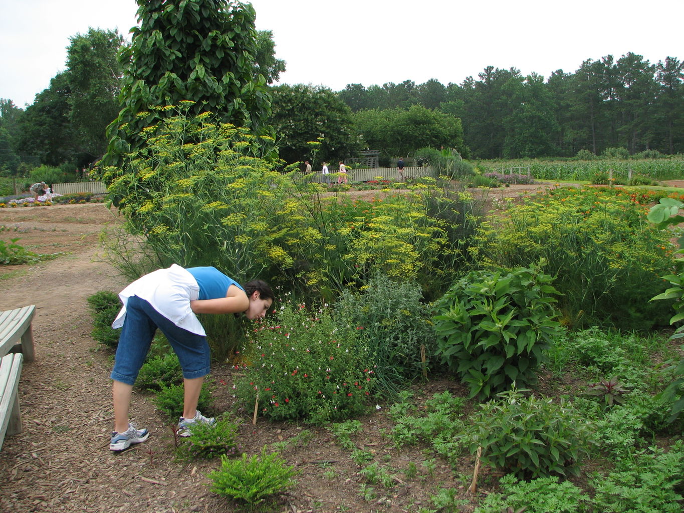 Callaway Gardens
