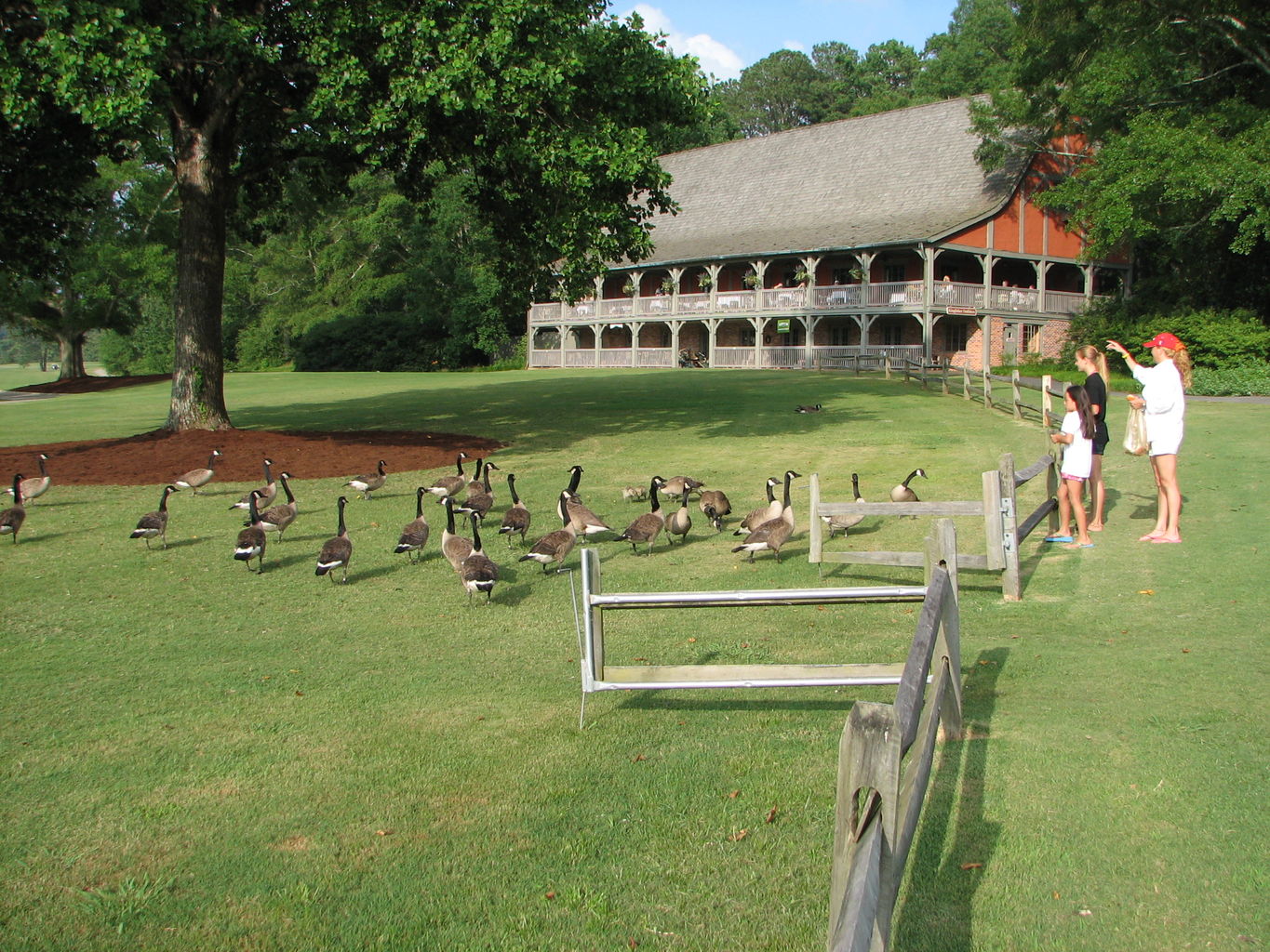 Callaway Gardens
