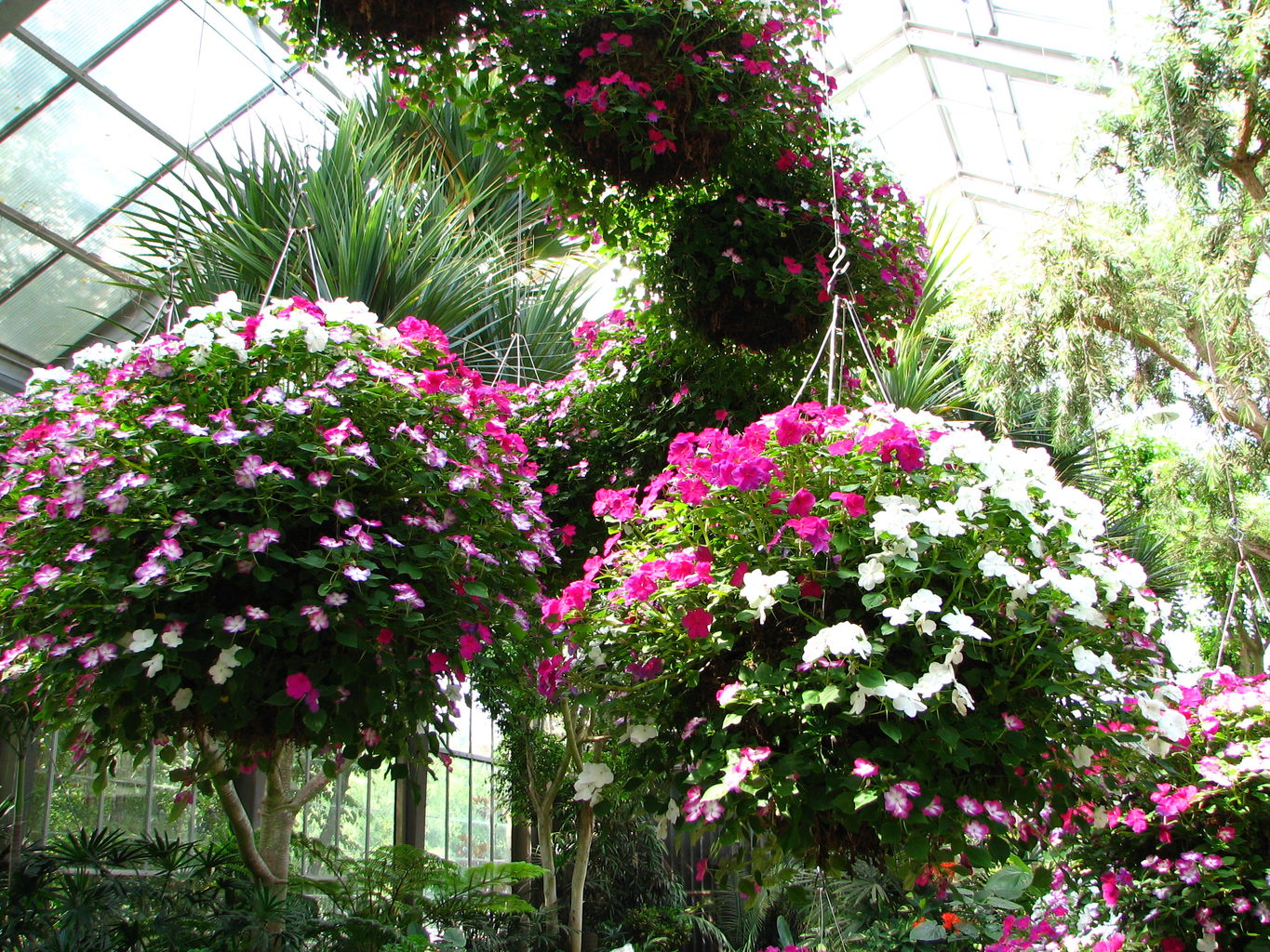 Callaway Gardens

