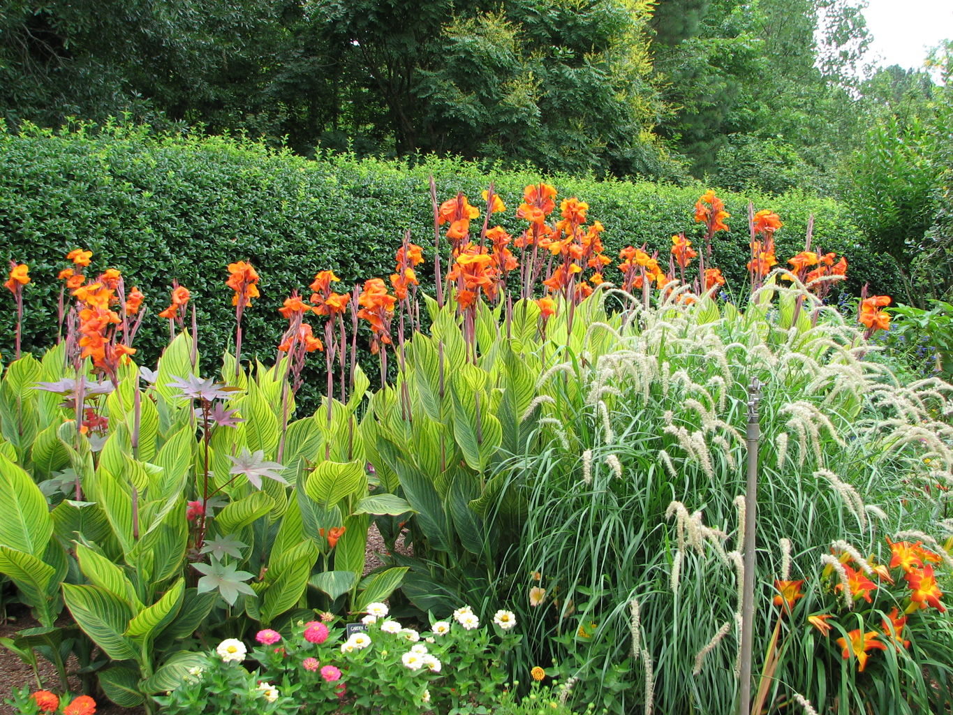 Callaway Gardens
