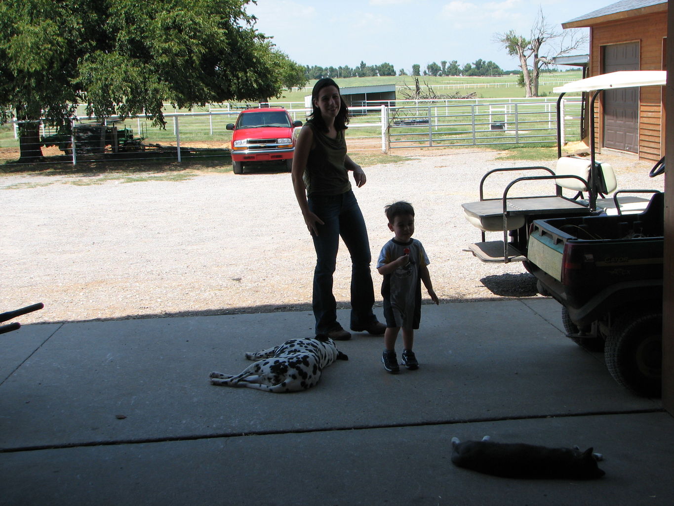 Visit to the Clydesdales
