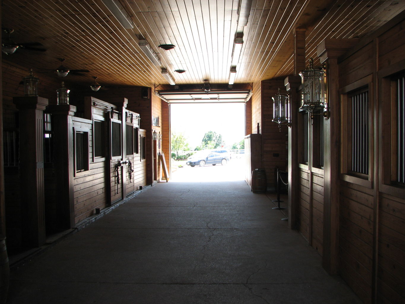 Visit to the Clydesdales
