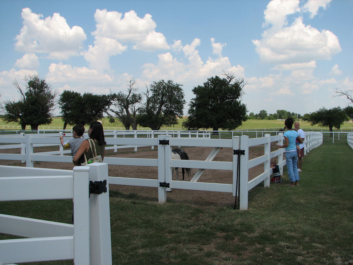 Visit to the Clydesdales
