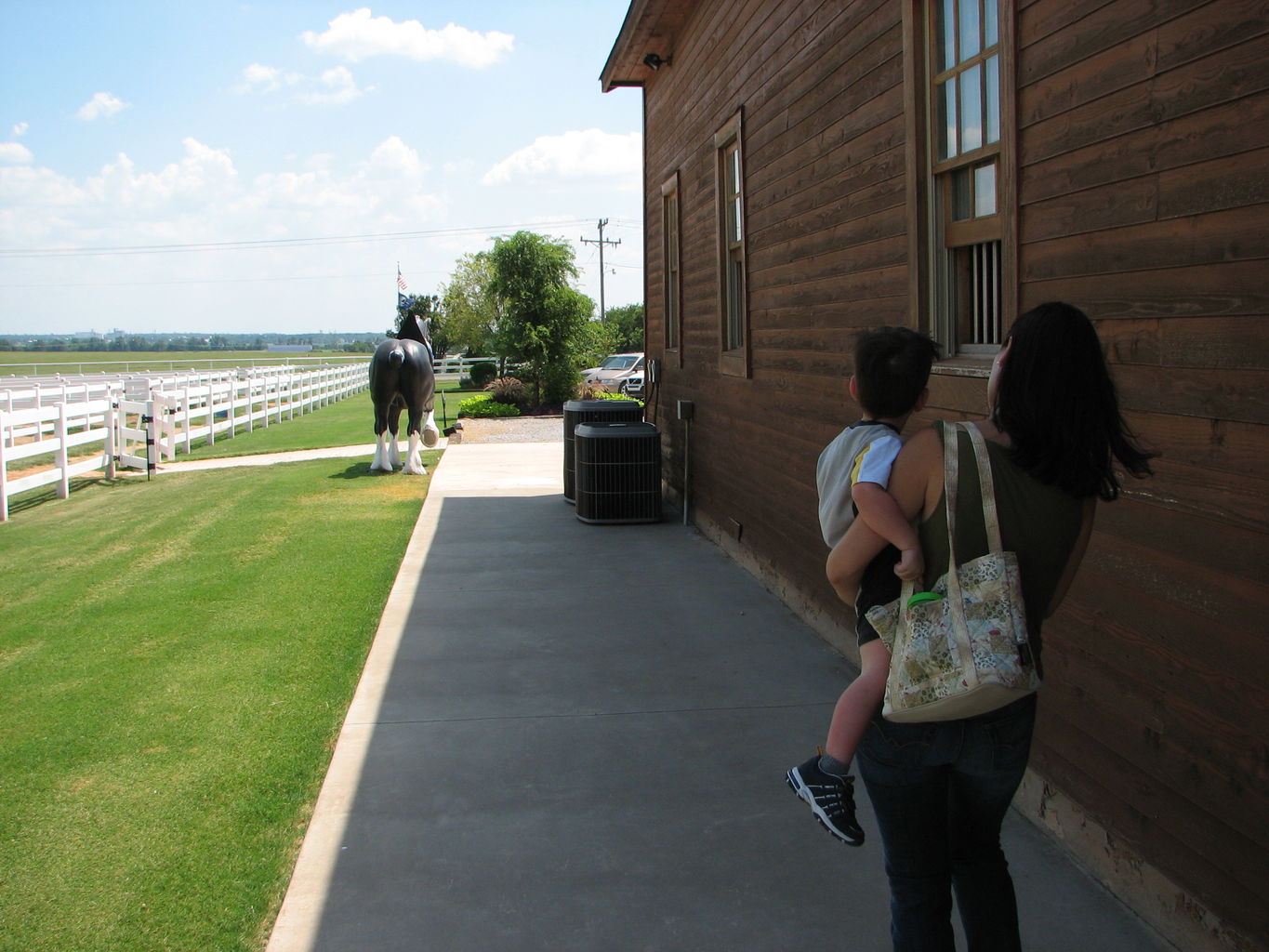 Visit to the Clydesdales
