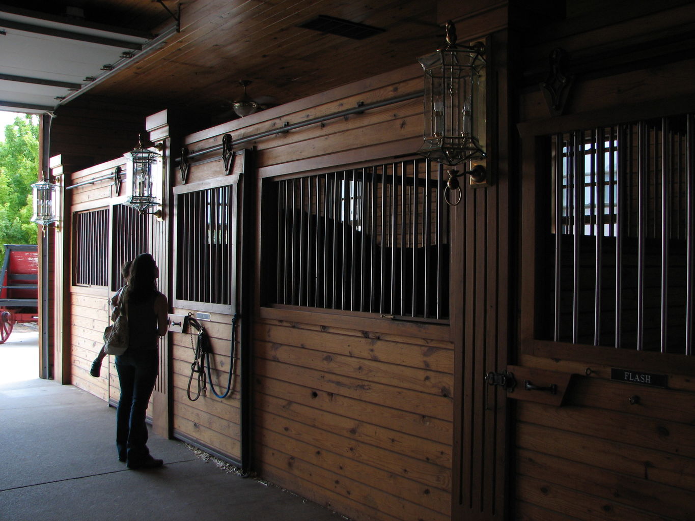 Visit to the Clydesdales
