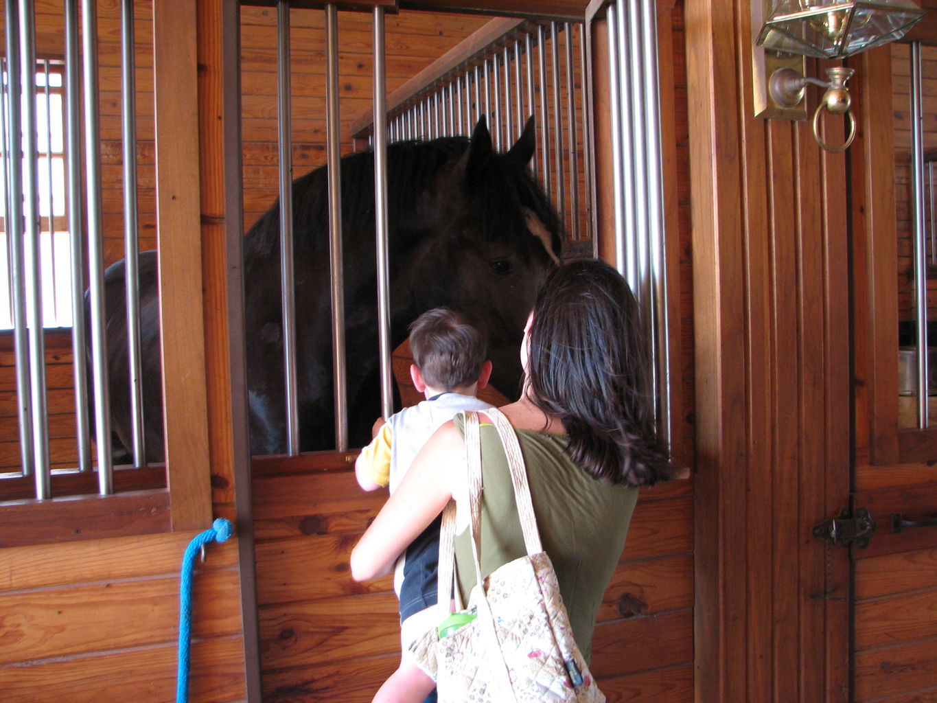 Visit to the Clydesdales
