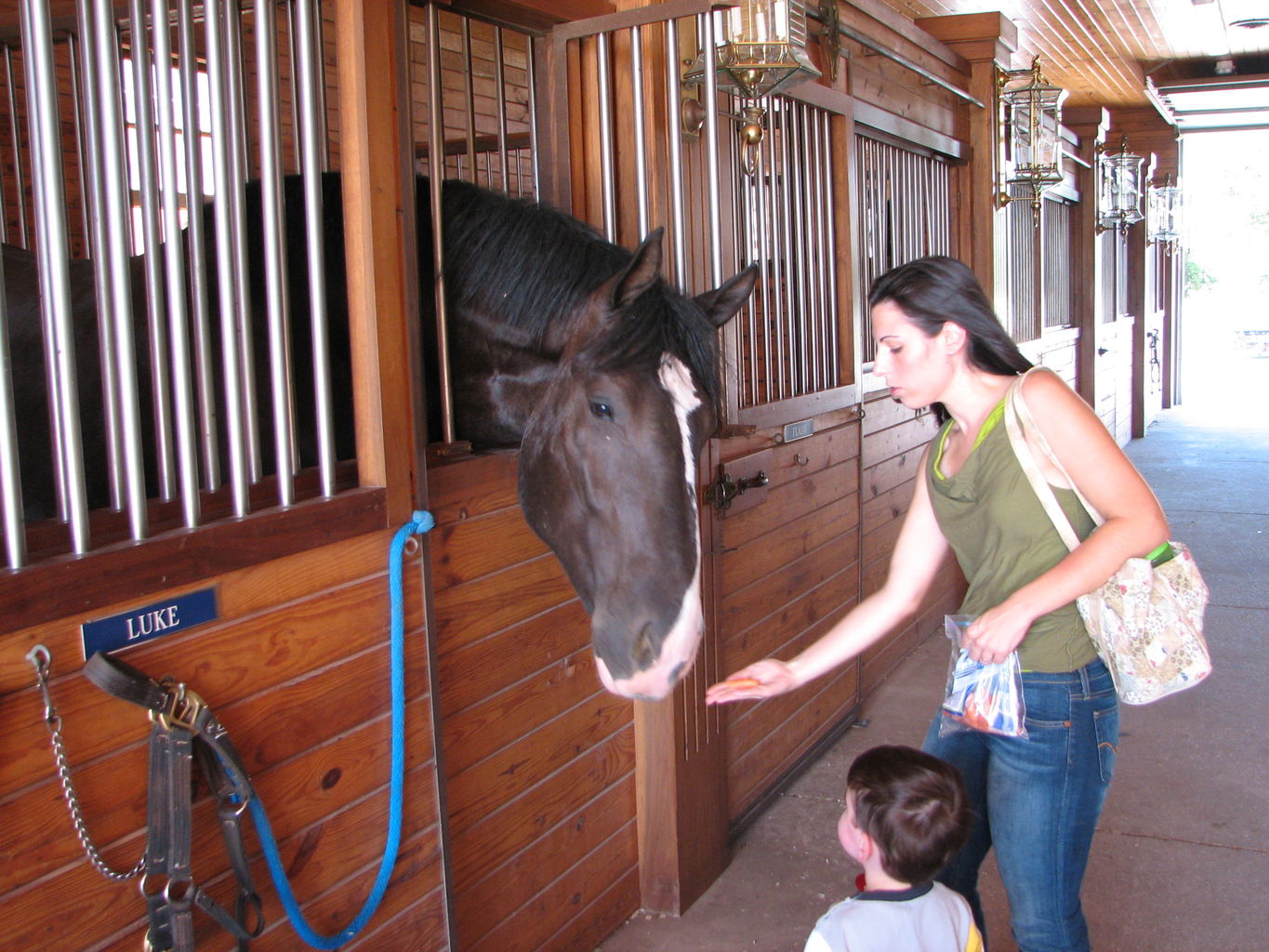 Visit to the Clydesdales
