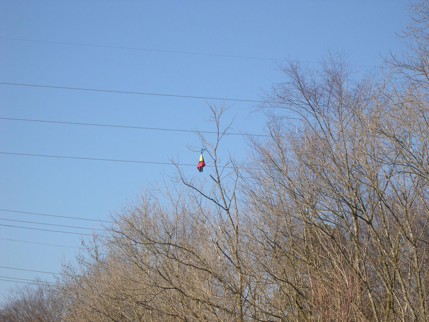 East Cobb Park in March
