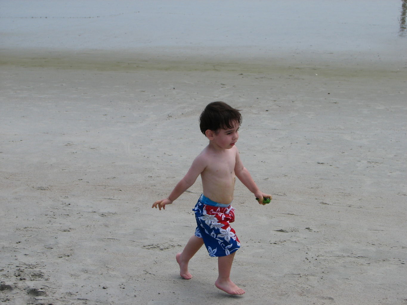 Family Reunion Pictures
