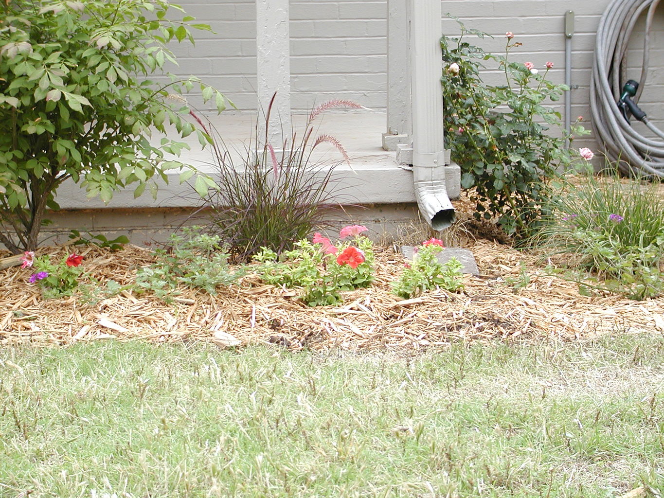 Guilford Lane House - Outside
