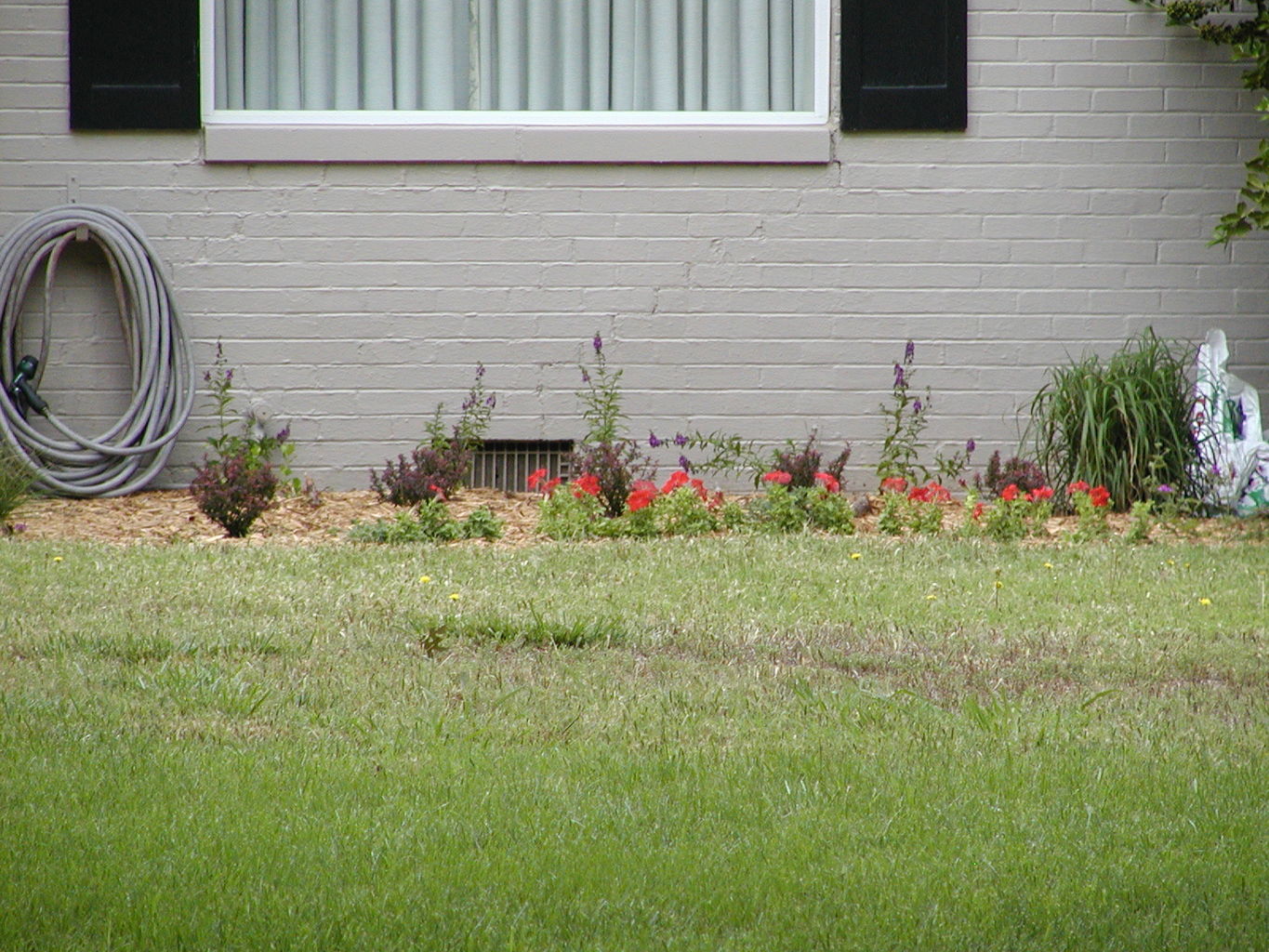 Guilford Lane House - Outside
