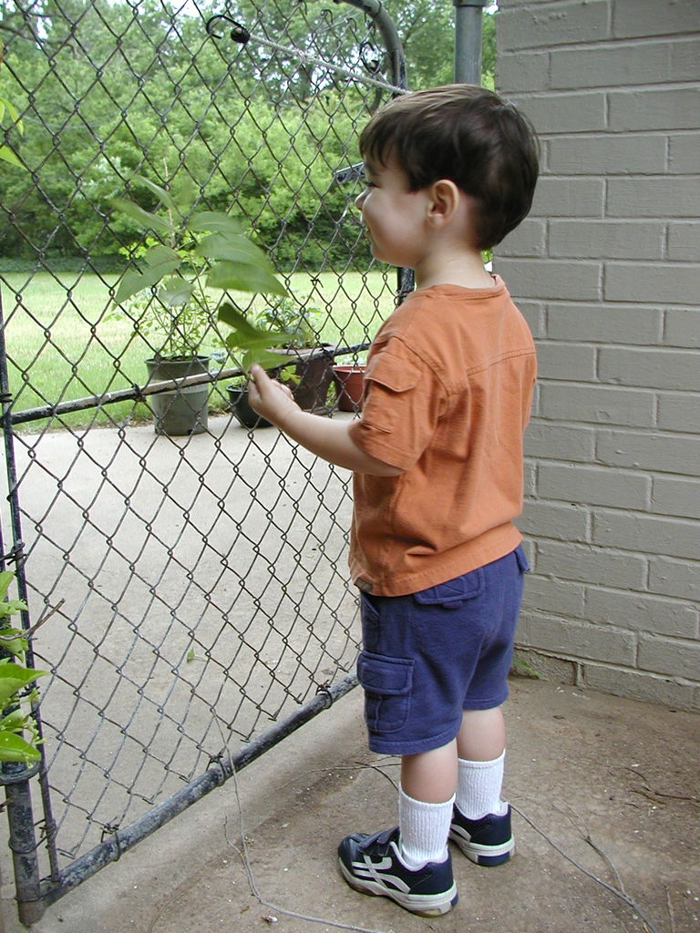 Guilford Lane House - Outside
