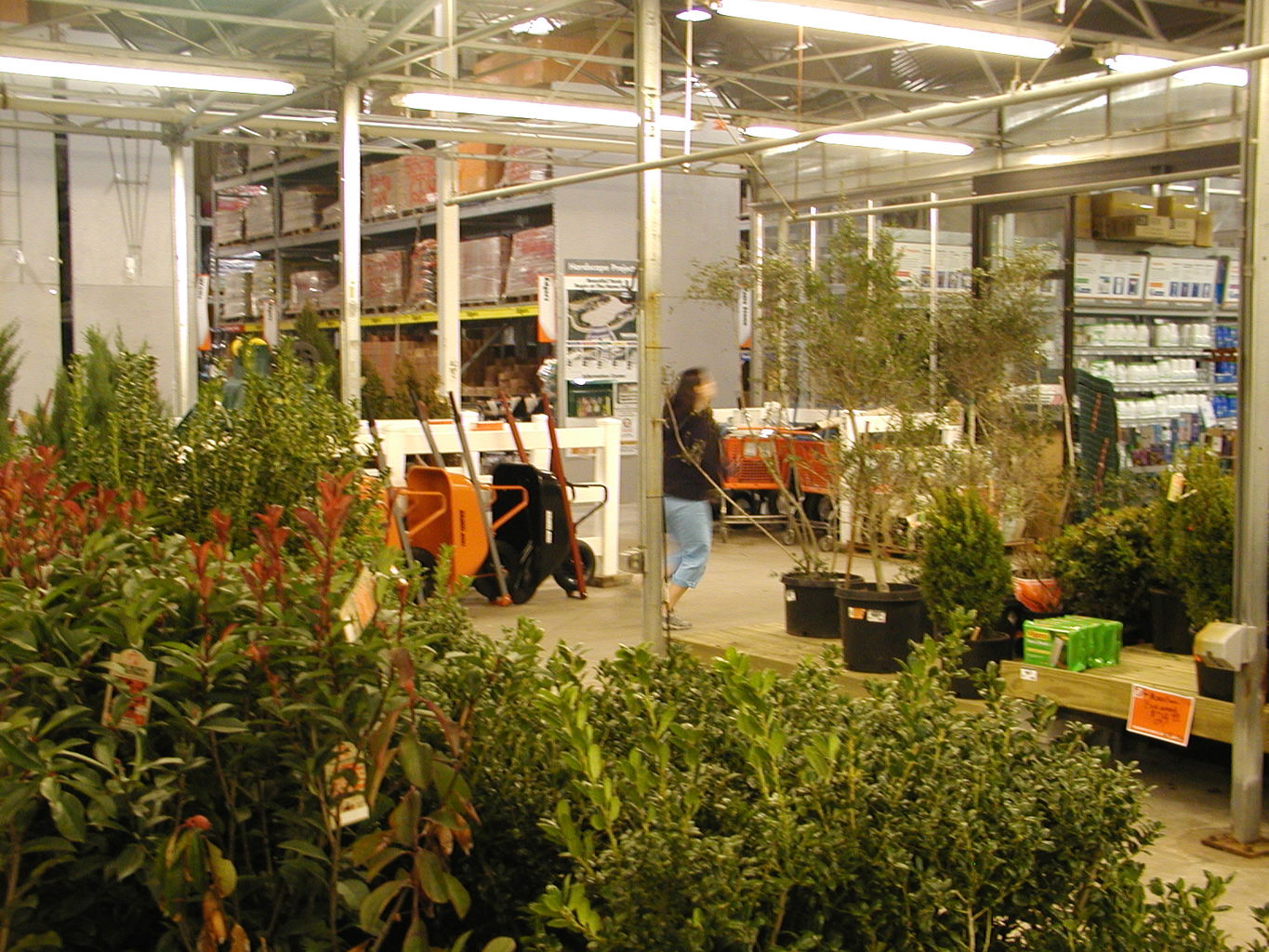 Playtime at the Home Depot
