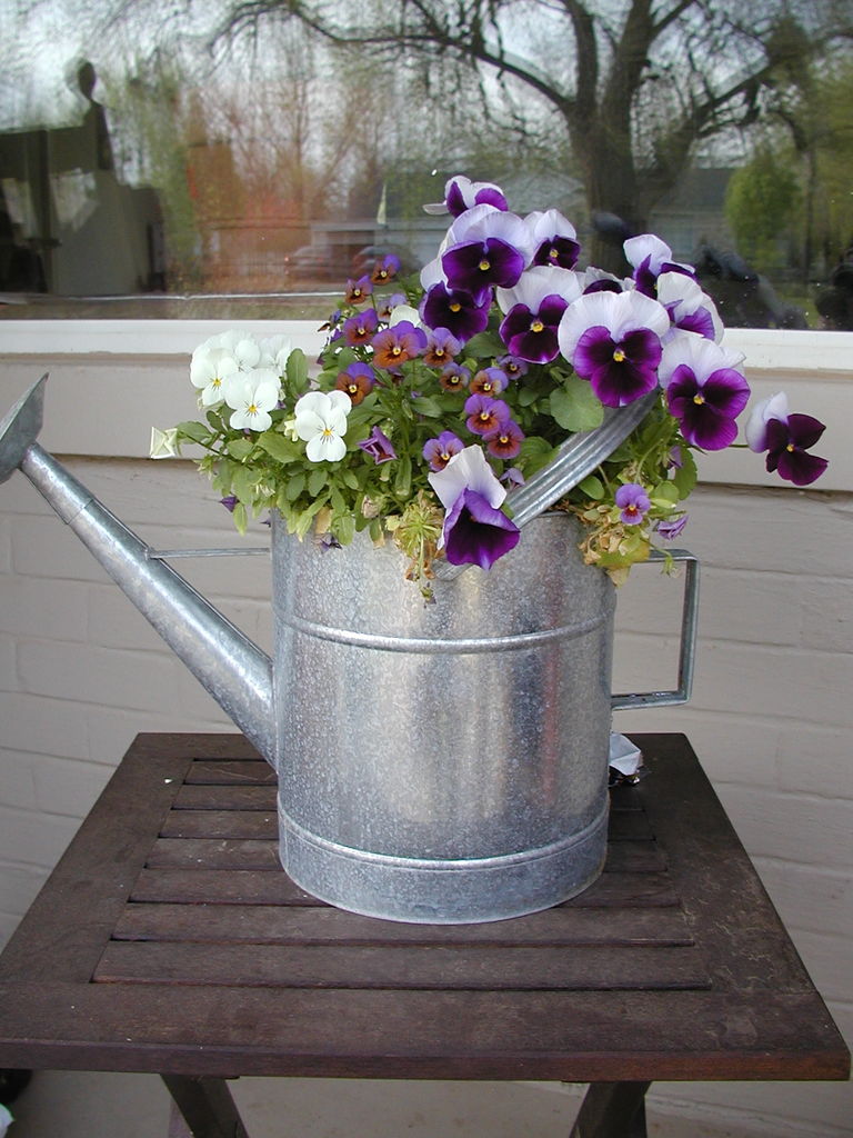 Pictures of James - March
