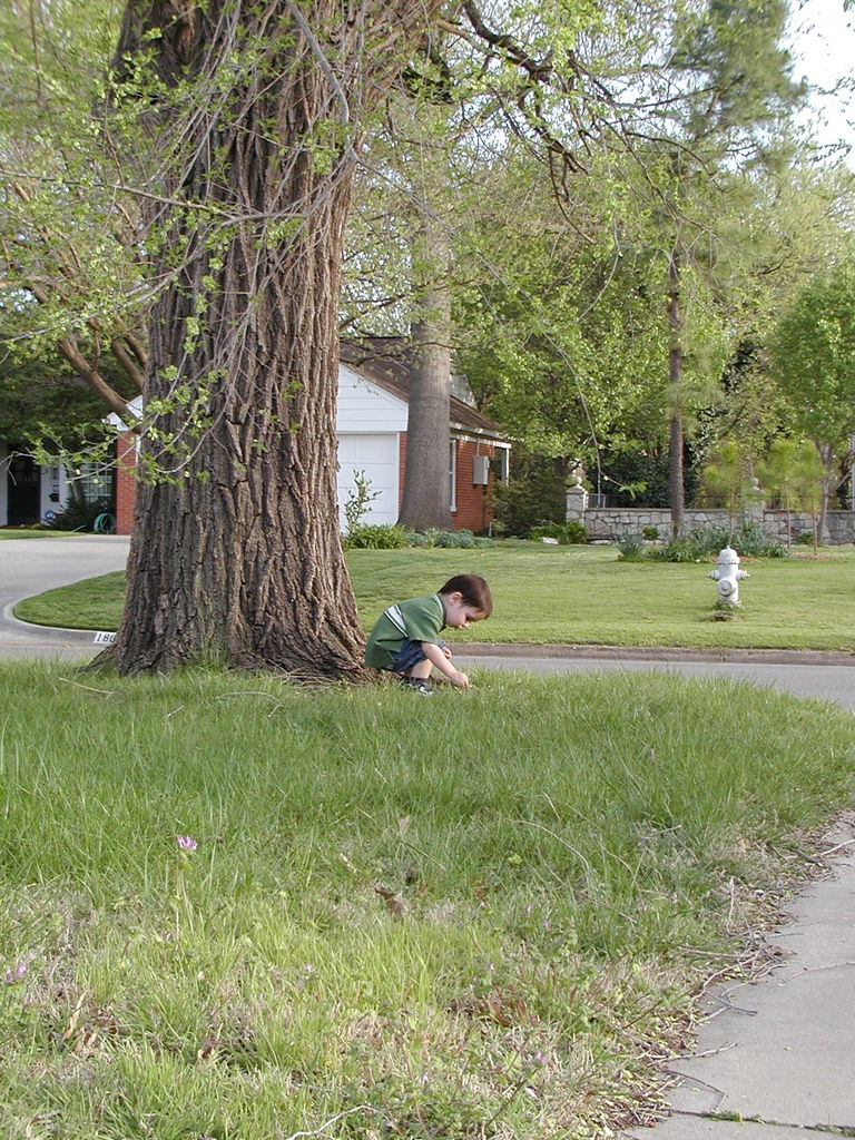 Pictures of James - March
