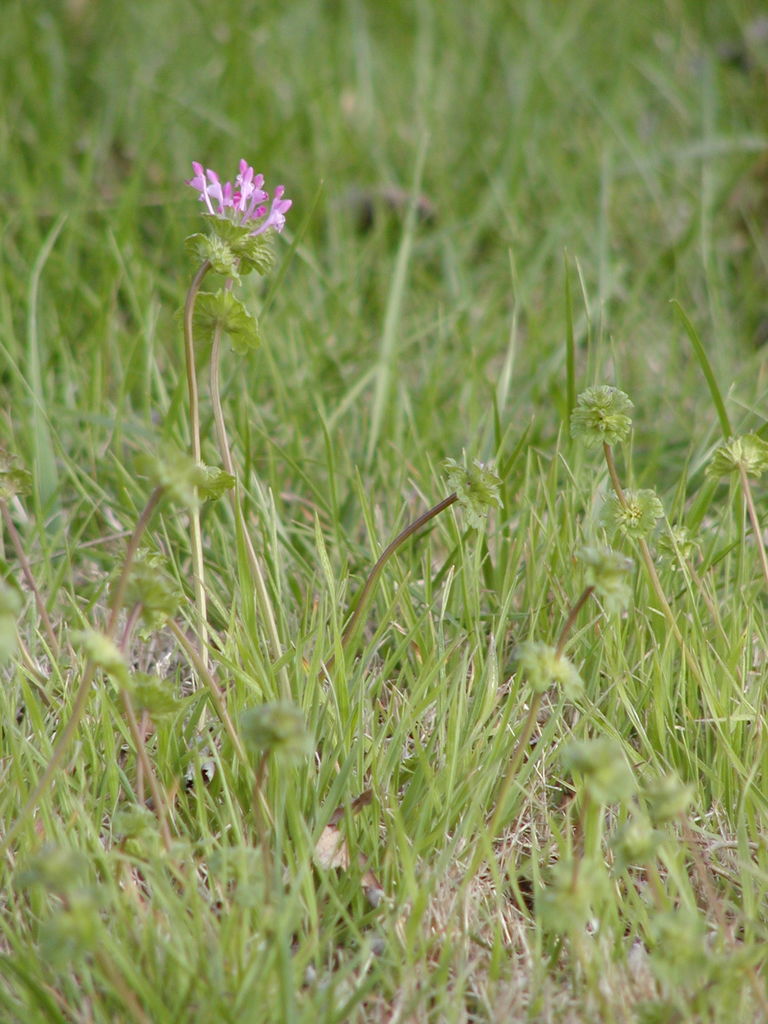 Pictures of James - March
