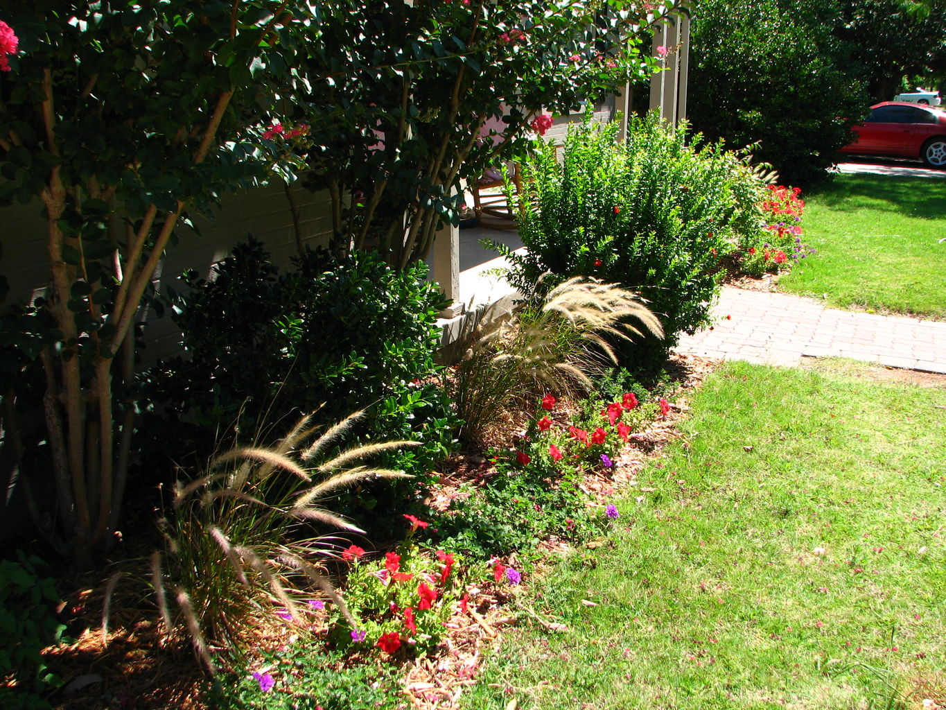 Flowers in July
