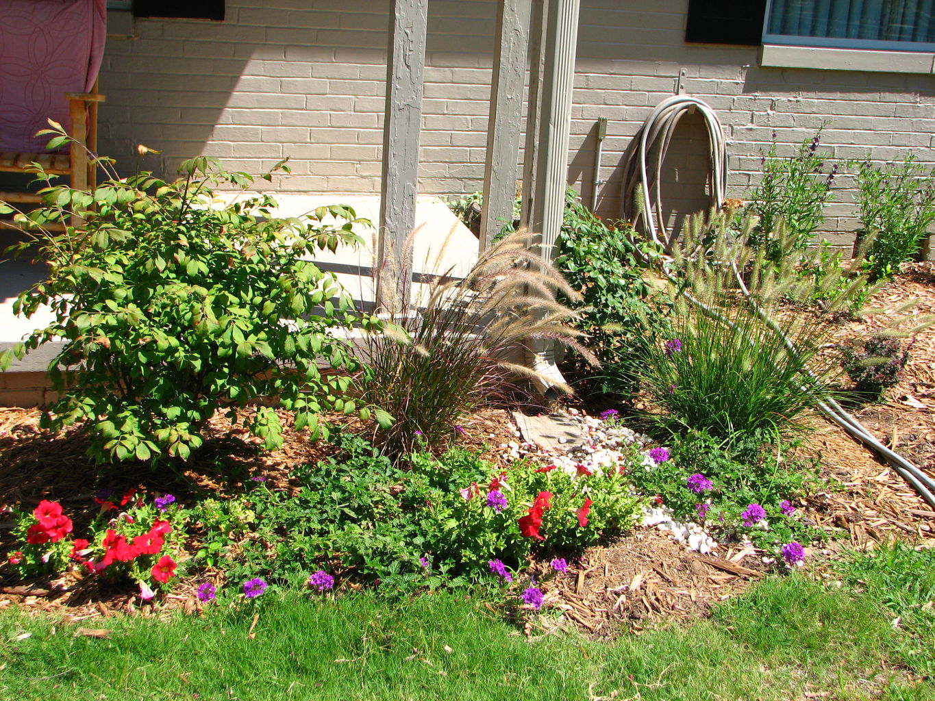 Flowers in July
