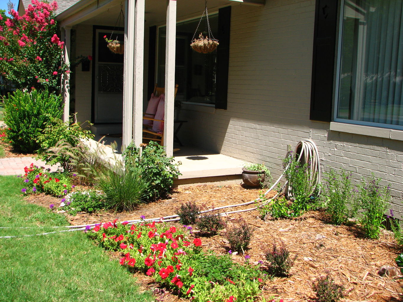 Flowers in July
