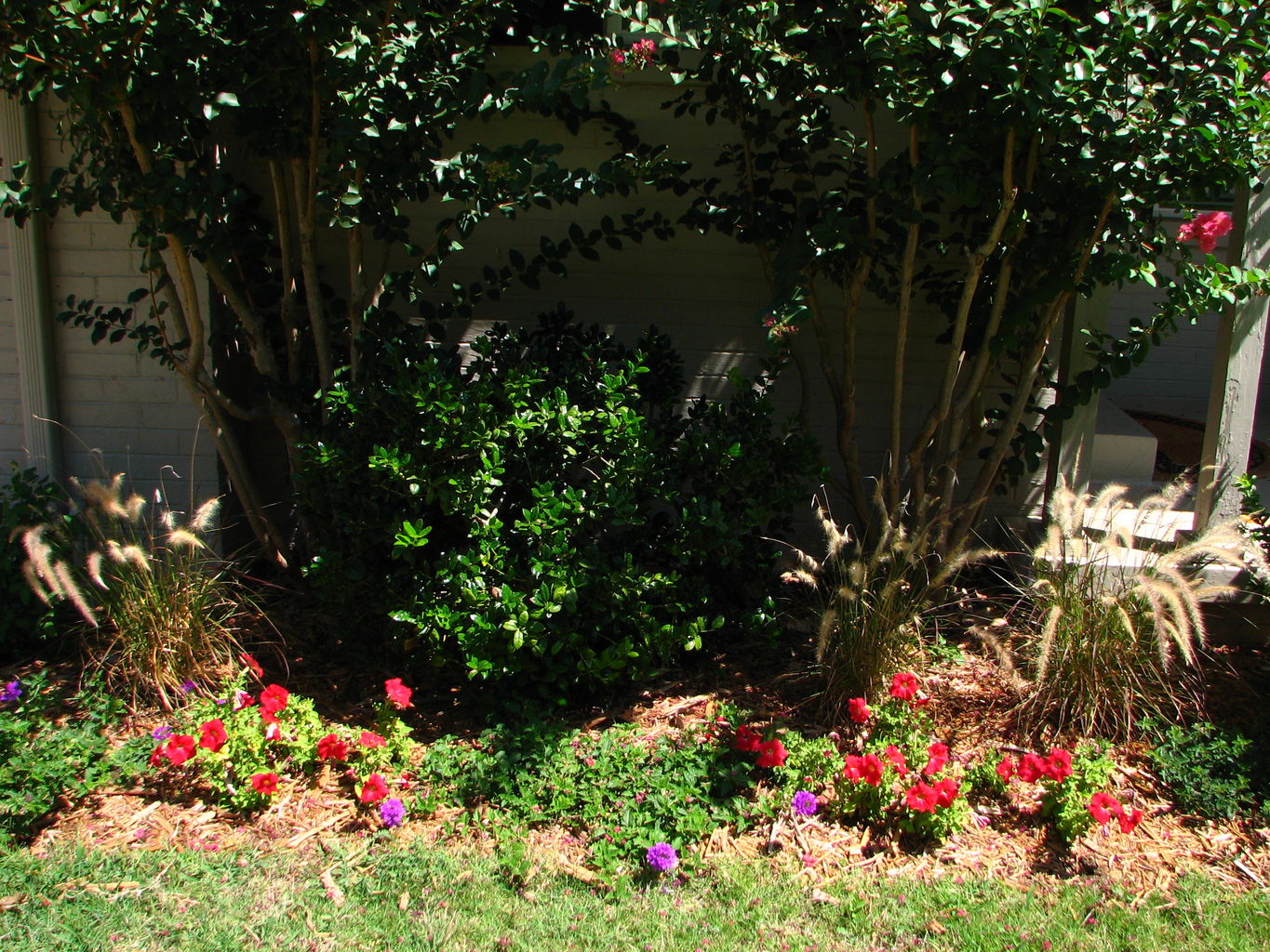 Flowers in July
