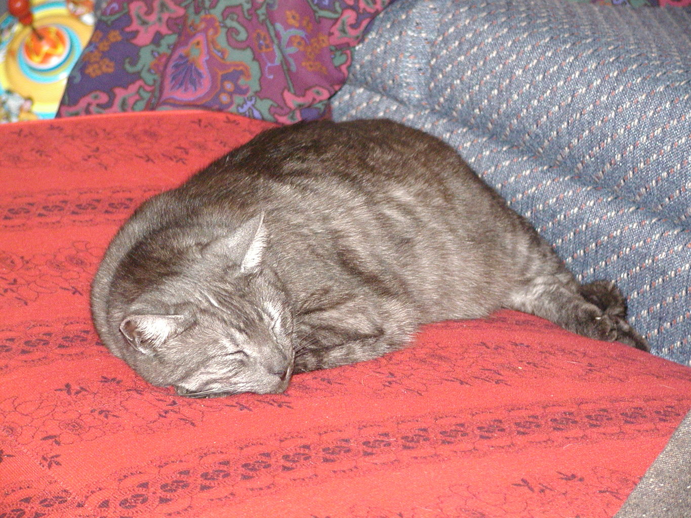 Visit to NaNa and PaPa March 2005
