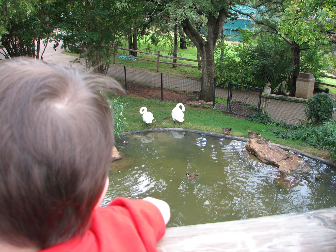 Oklahoma City Zoo
