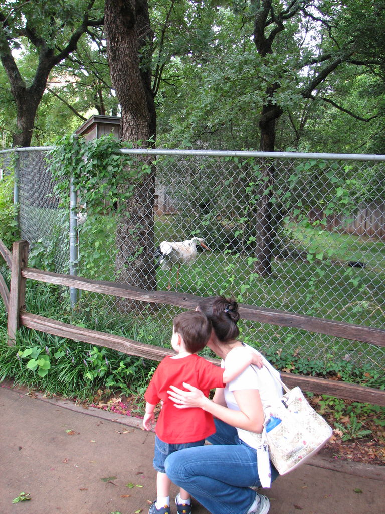 Oklahoma City Zoo
