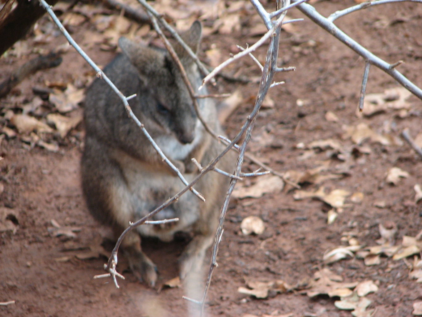 Oklahoma City Zoo
