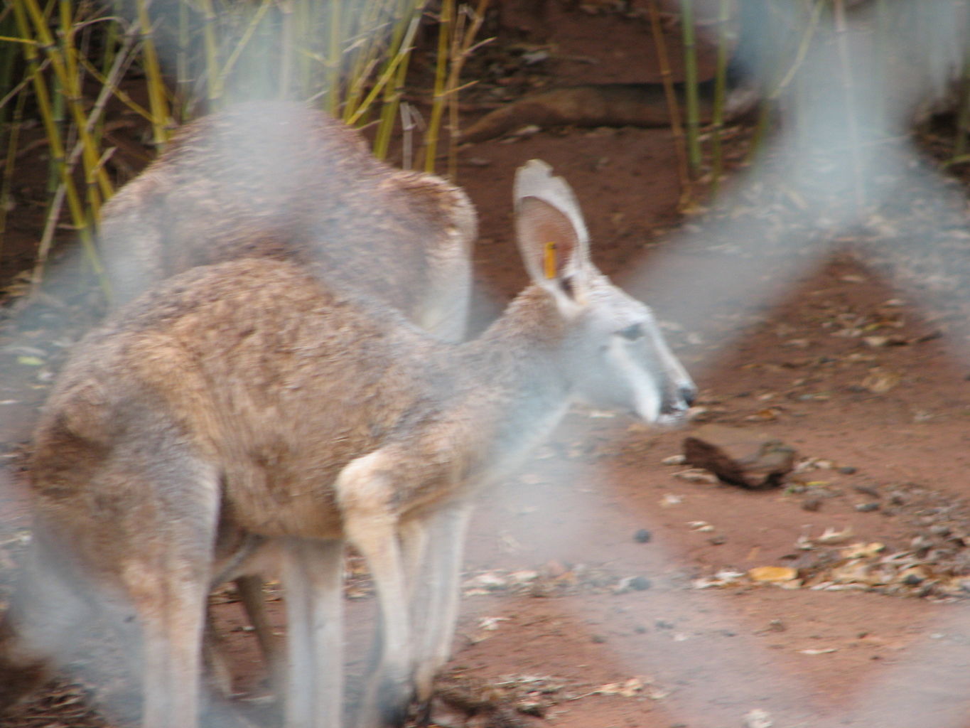 Oklahoma City Zoo
