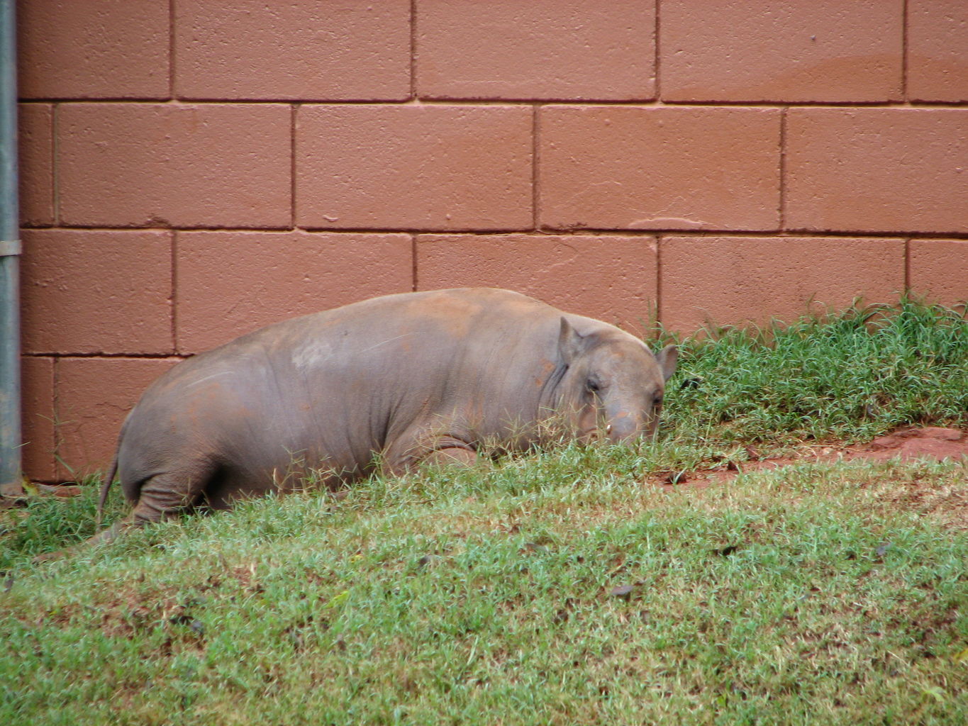 Oklahoma City Zoo
