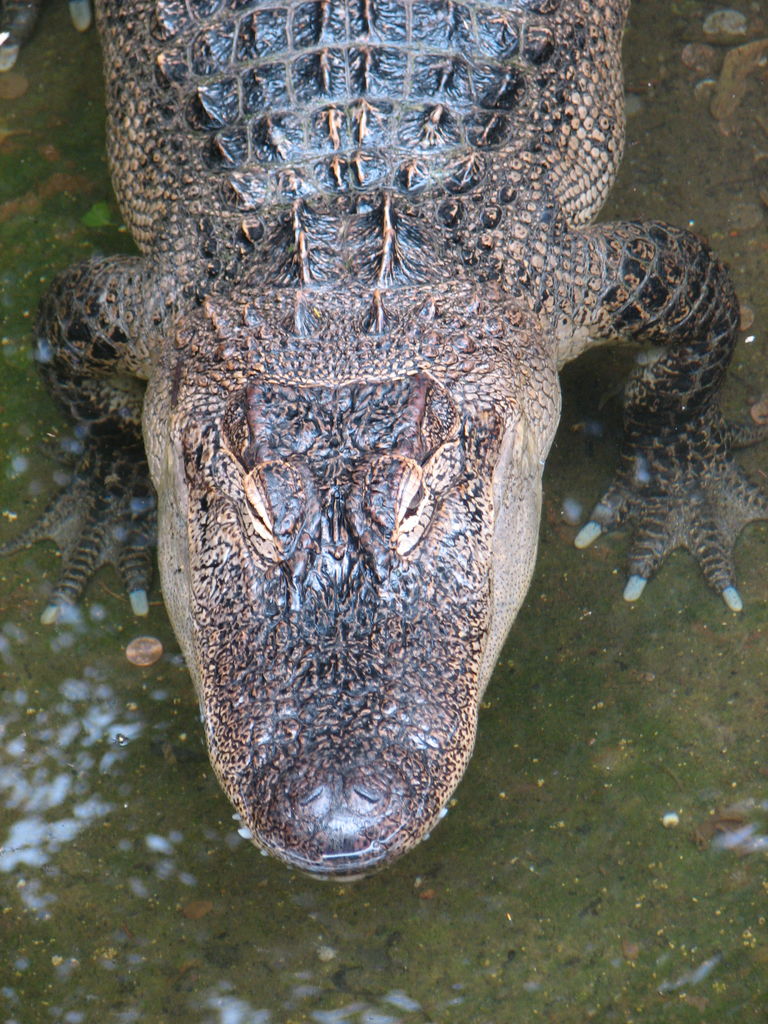 Oklahoma City Zoo
