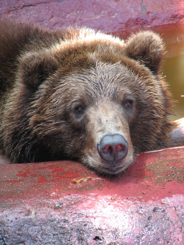 Oklahoma City Zoo
