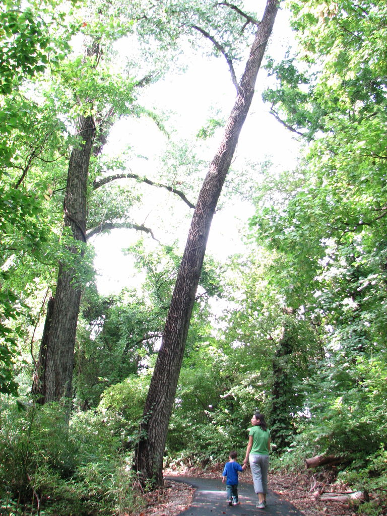 Trip to the Eastern Oklahoma Mountains
