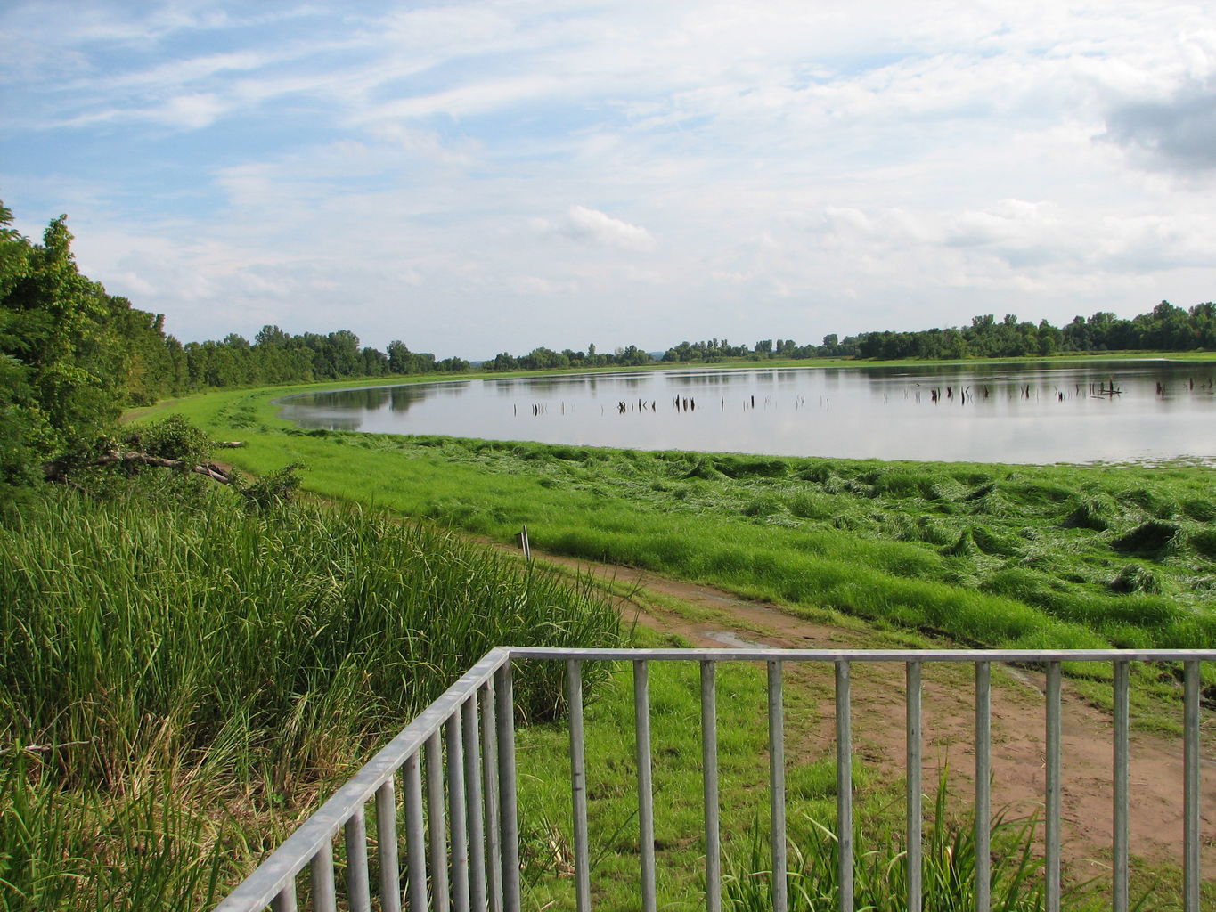 Trip to the Eastern Oklahoma Mountains
