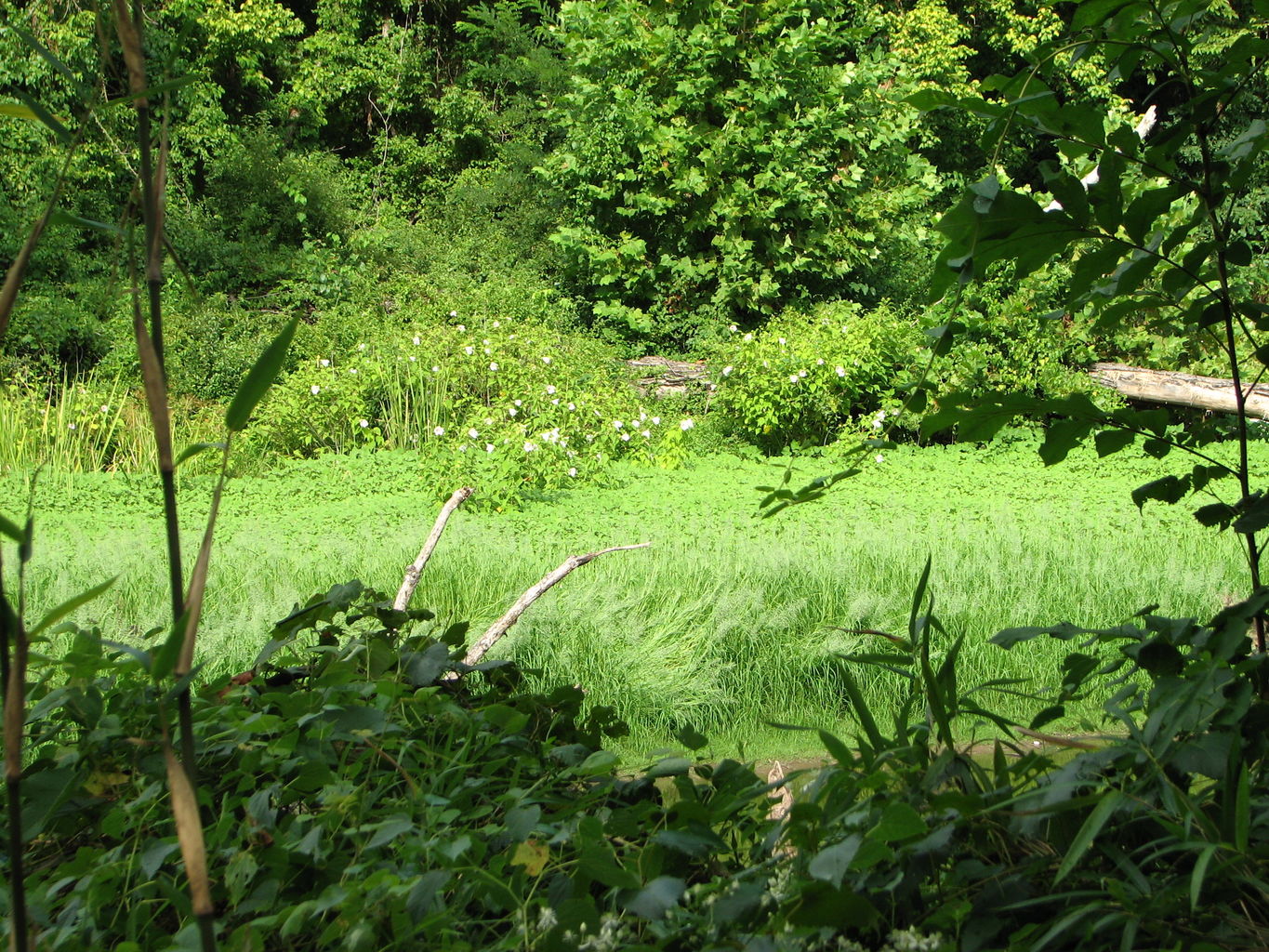 Trip to the Eastern Oklahoma Mountains
